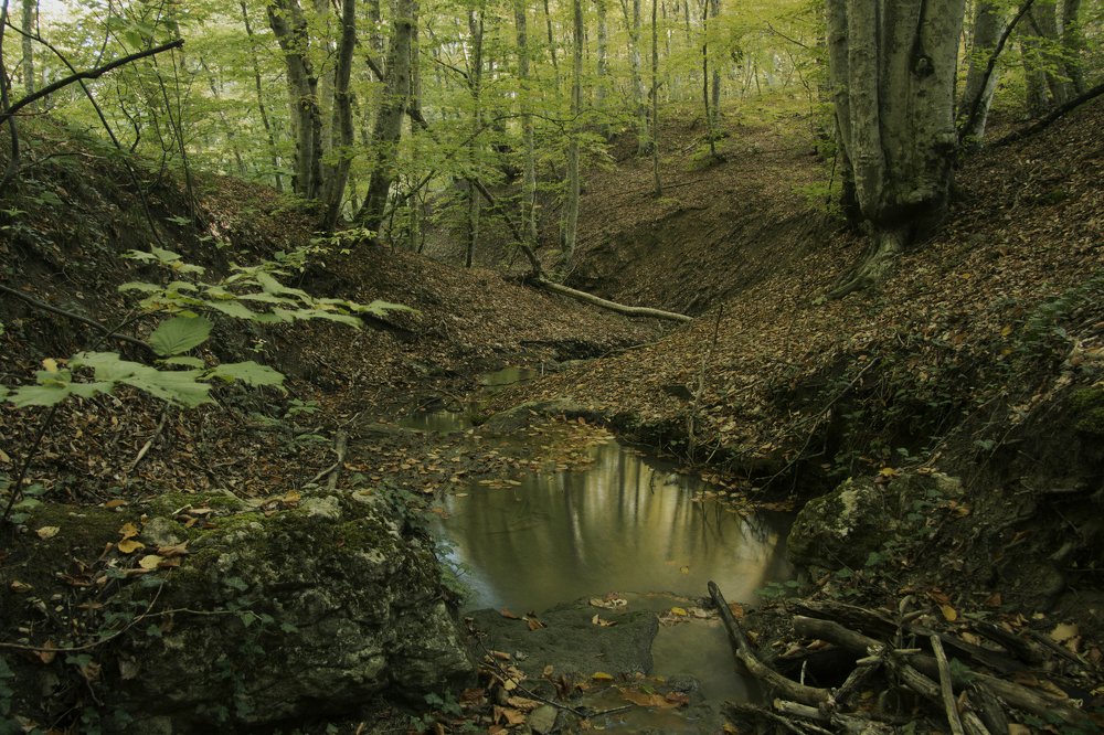 Photograph by света хлевненко