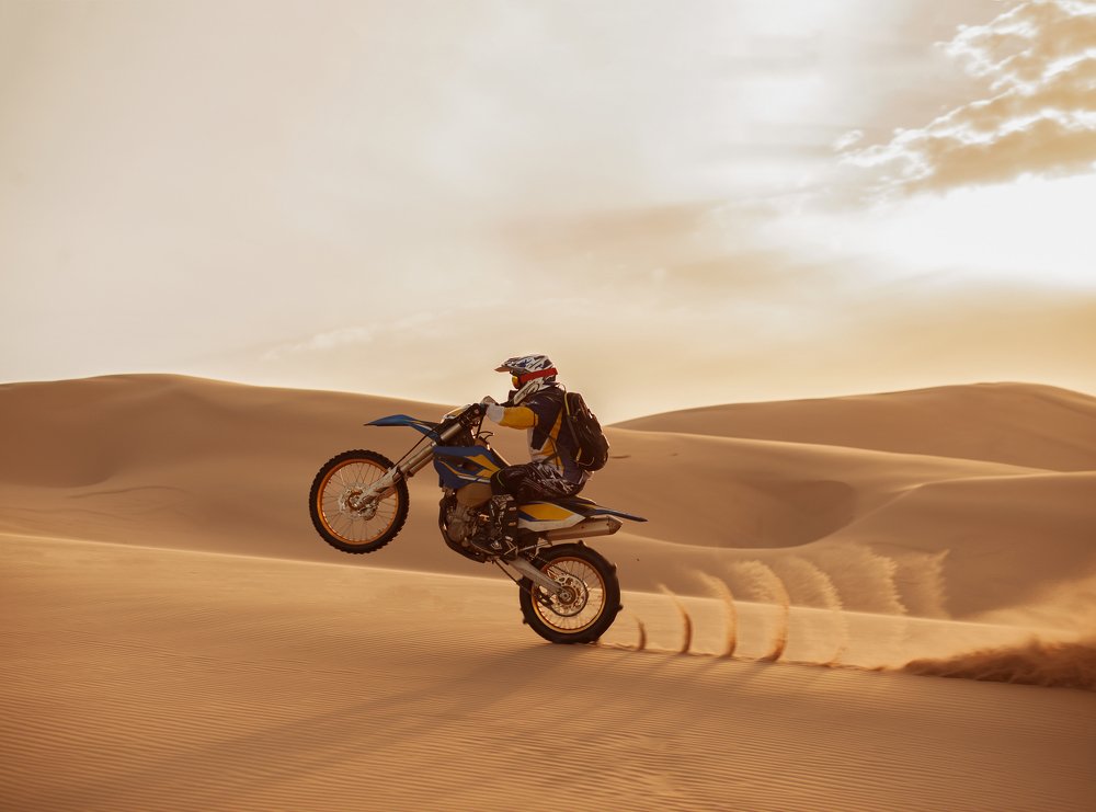 Просторы Гоби