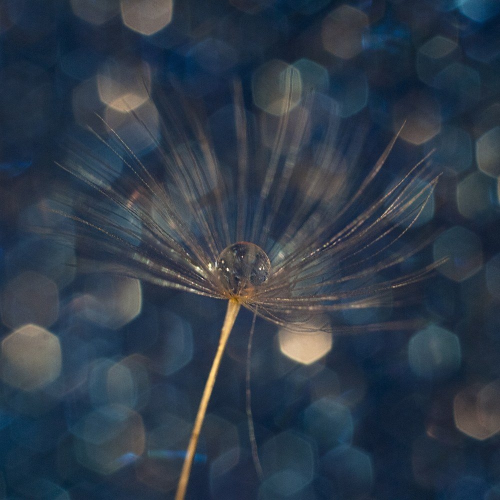 Photograph by Динара Зуйкова