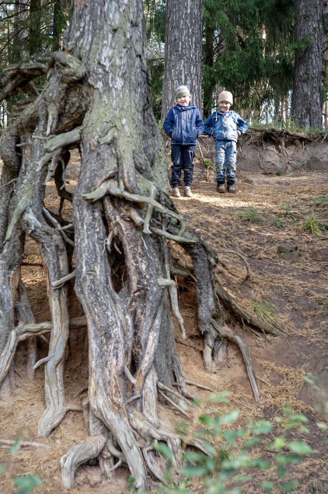 Photograph by Сергей Забиякин