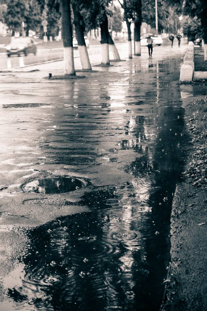 Photograph by Сергей Забиякин