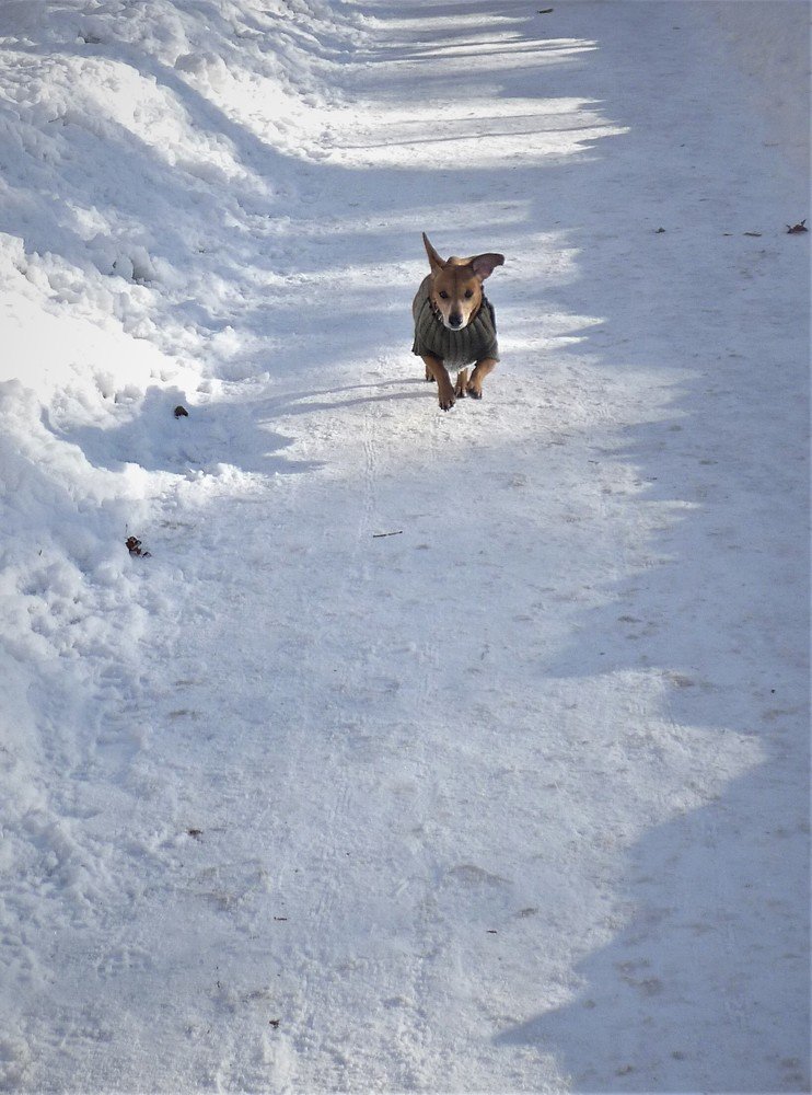 Photograph by Татьяна Крахина