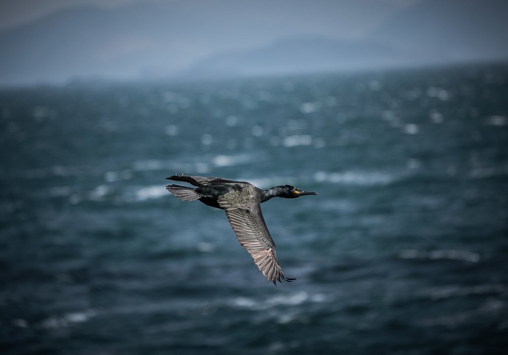 Photograph by Стоянова-Тимбукту Мария