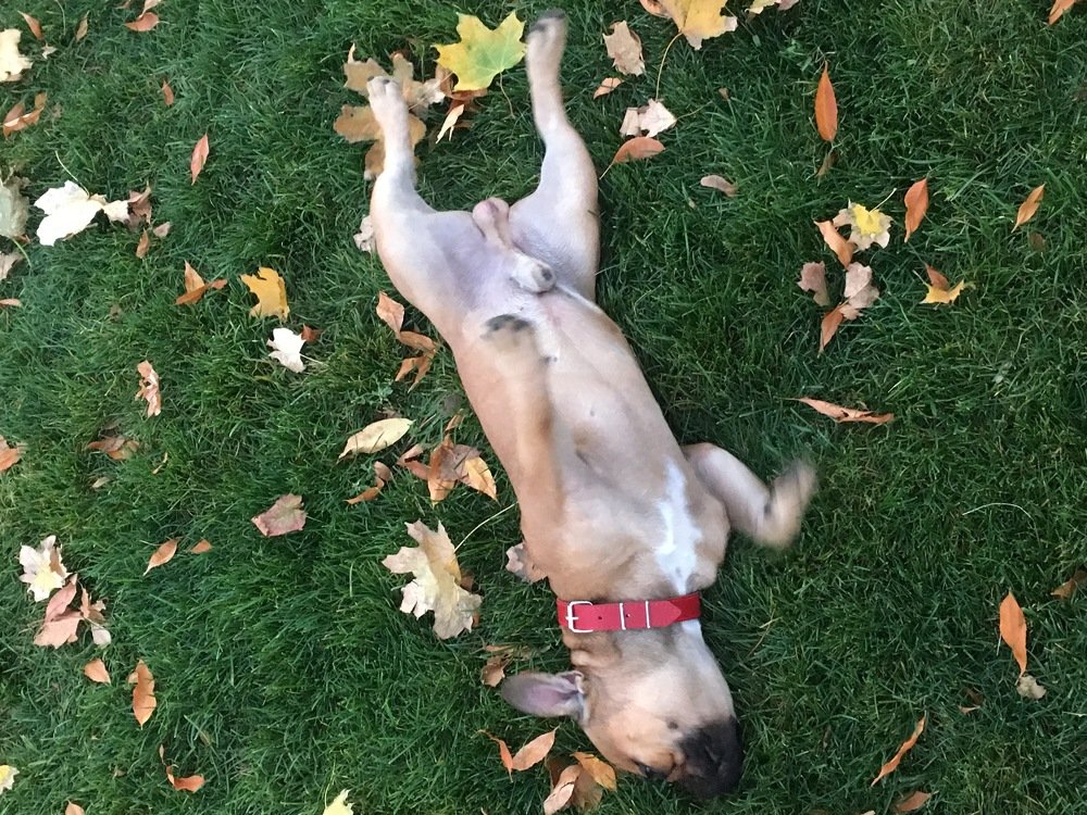 Photograph by Станислав Сычик