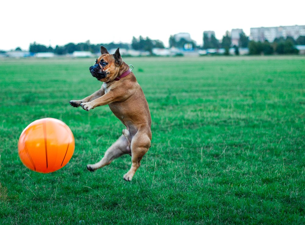 Photograph by Станислав Сычик