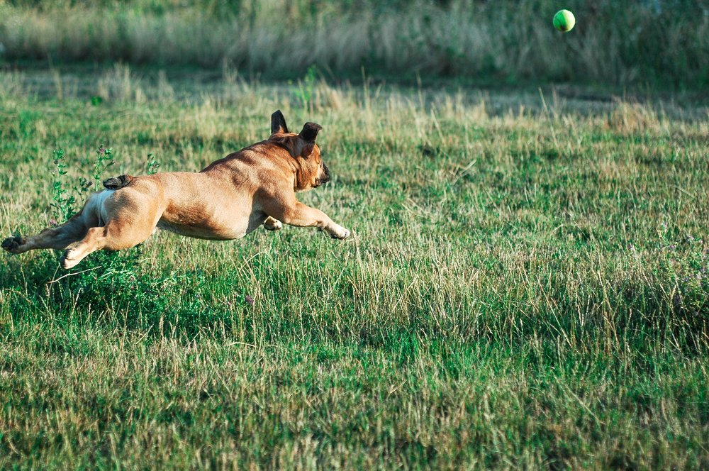 Photograph by Станислав Сычик