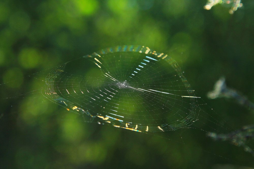 Photograph by Beybit Bertaev