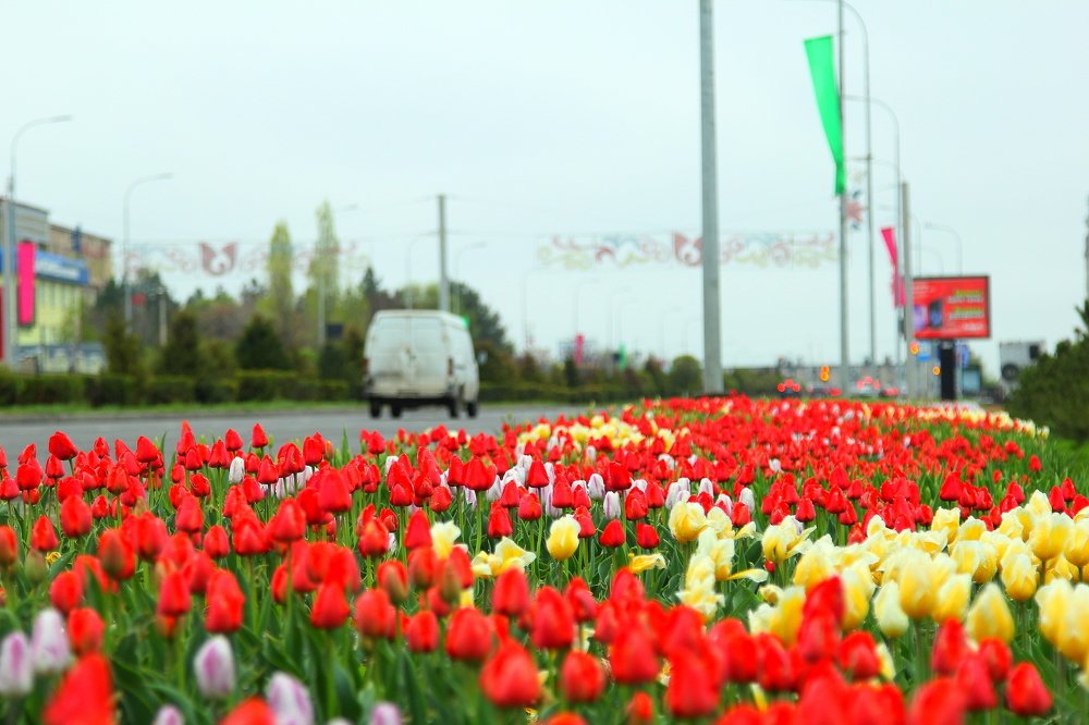 Photograph by Beybit Bertaev