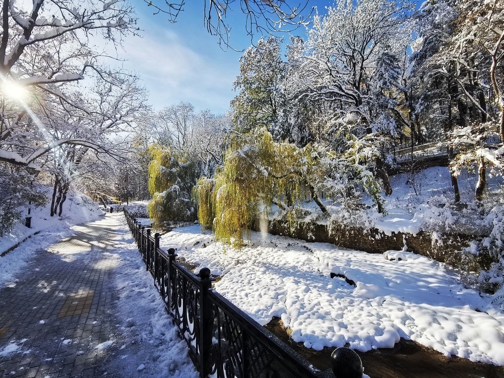 Photograph by Consuelo Sand