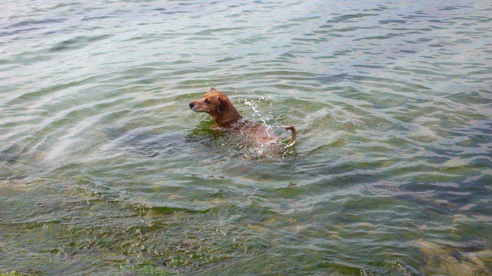 Photograph by Татьяна Крахина