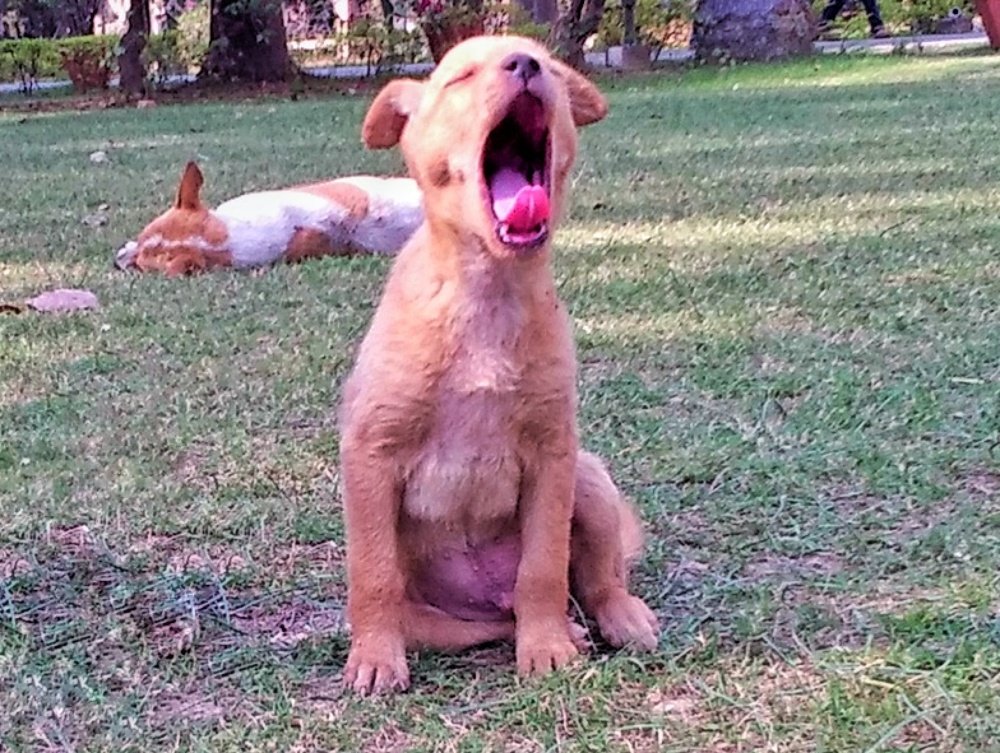 Photograph by Suruchi Mishra