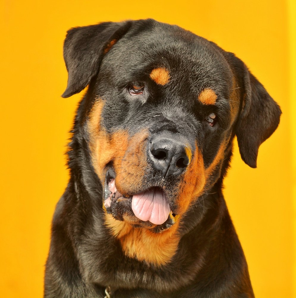 Photograph by Suruchi Mishra