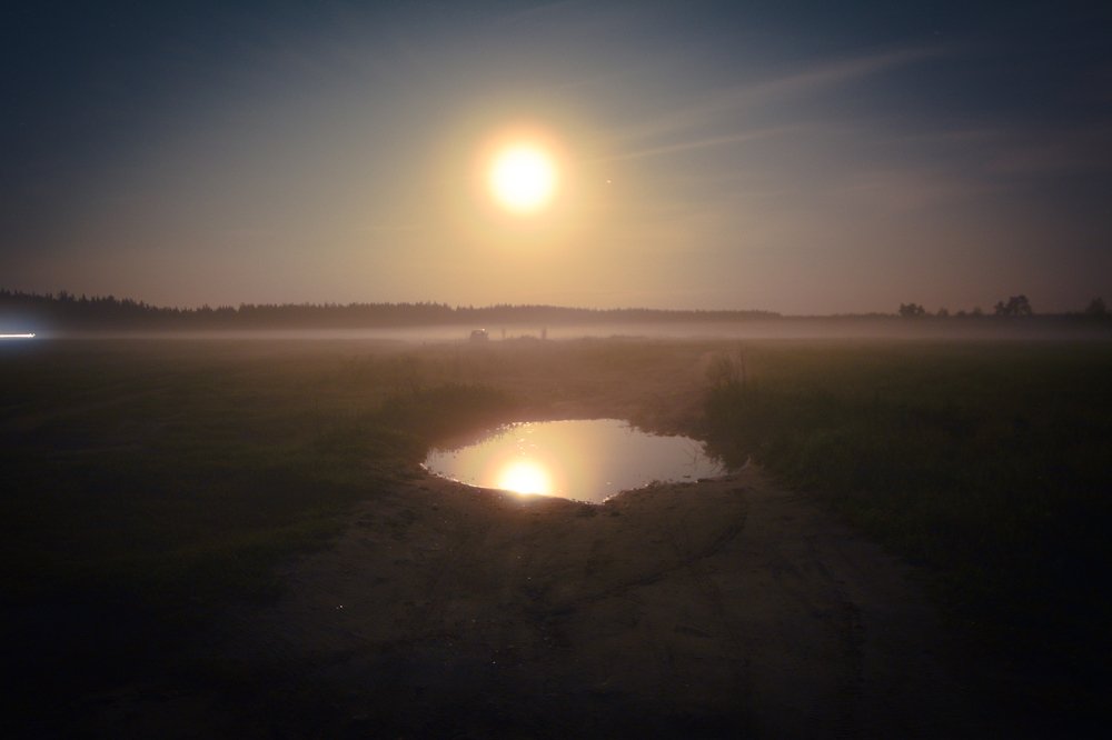 Photograph by Алена Николаева