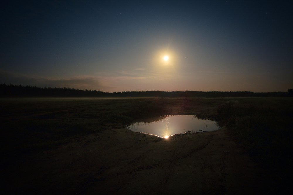 Photograph by Алена Николаева