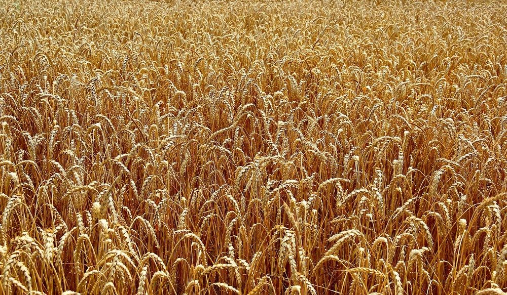 Photograph by Margo Margo