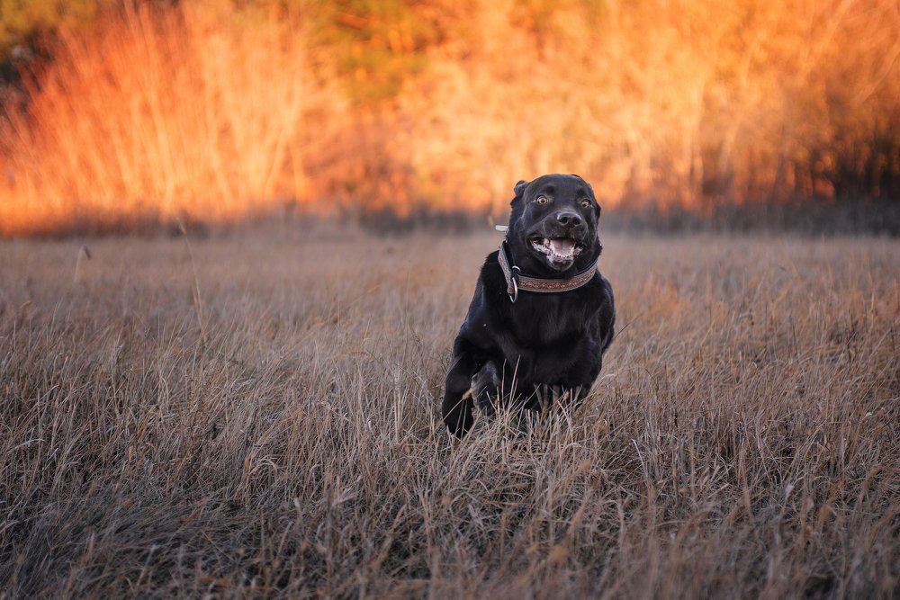 Photograph by Елена Маслова