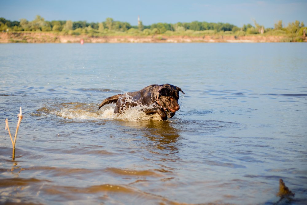 Photograph by Елена Маслова