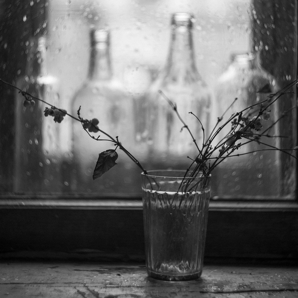 Photograph by Алёна Таланова