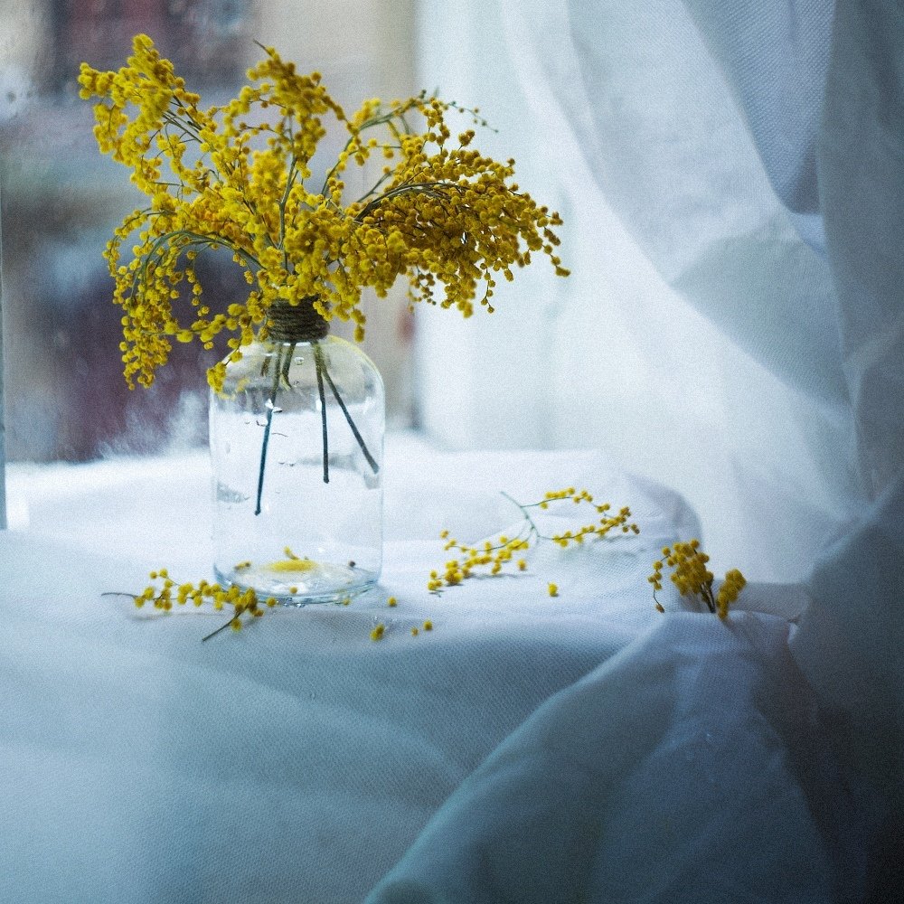 Photograph by Алёна Таланова