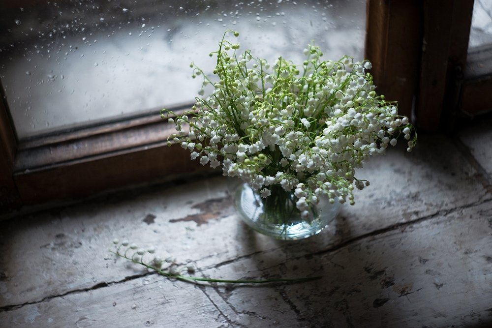 Photograph by Алёна Таланова