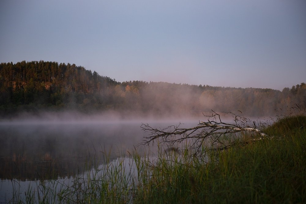 Photograph by Алёна Таланова