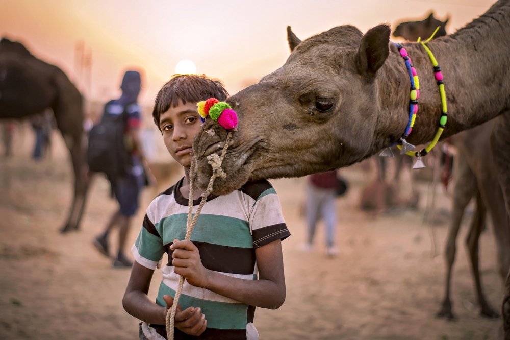 Photograph by Ashish Kumawat