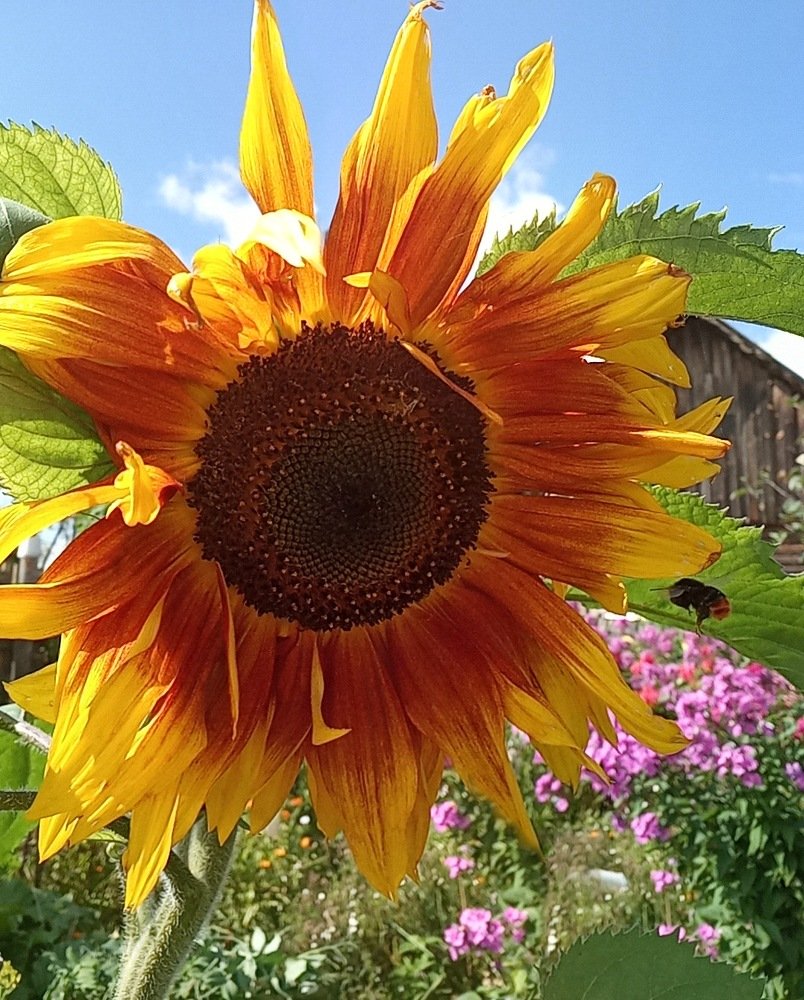 Photograph by Любовь Шаврина