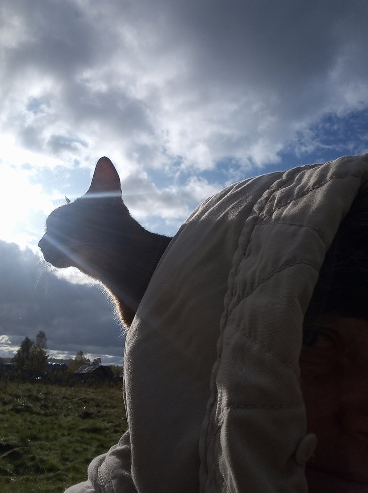 Ловим позитив