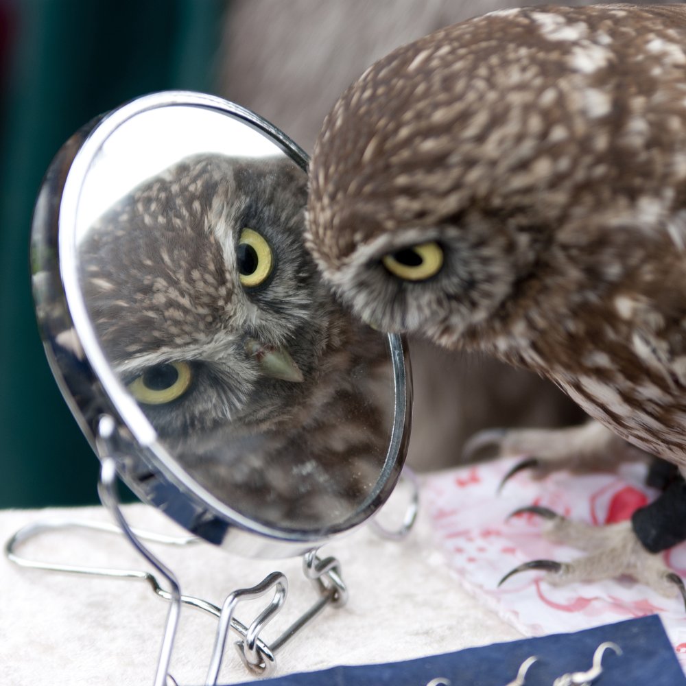 Photograph by Володимир Сорін