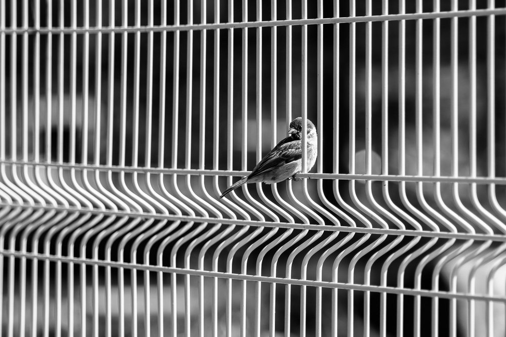 Туда или сюда?