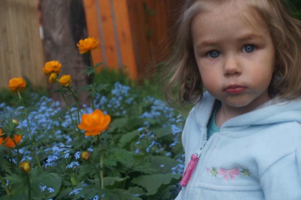 Photograph by Геннадий Зенков