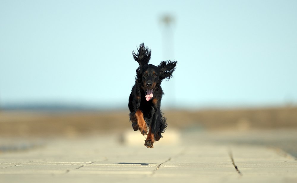 Photograph by Михаил Калинин