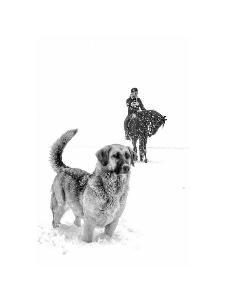 Photograph by Abbas Mohamadi