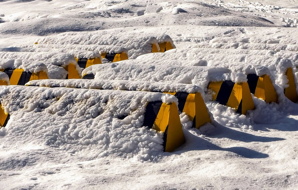 Кусочки солнца в снегу