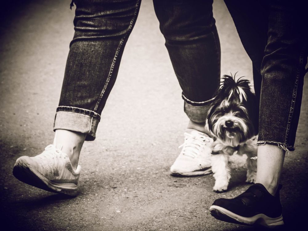 Photograph by Yana Khazova