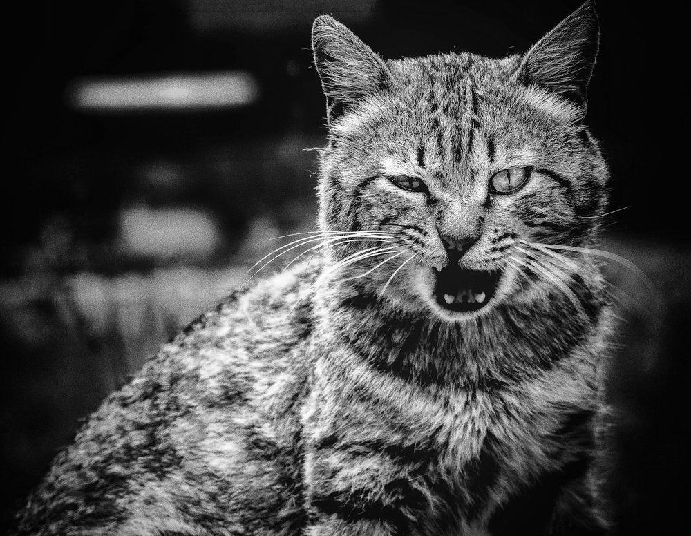 Photograph by Yana Khazova