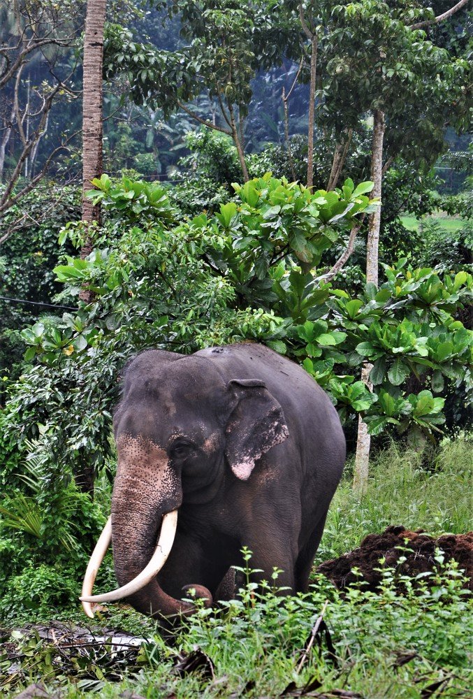 Photograph by Андрей Телибаев