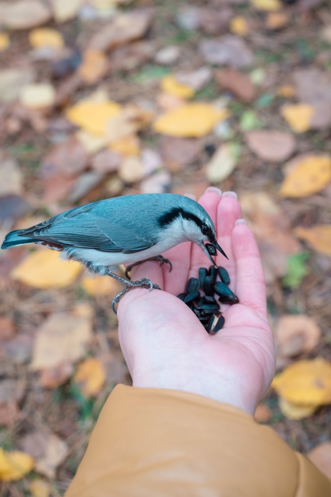 Photograph by Кадырова Анастасия