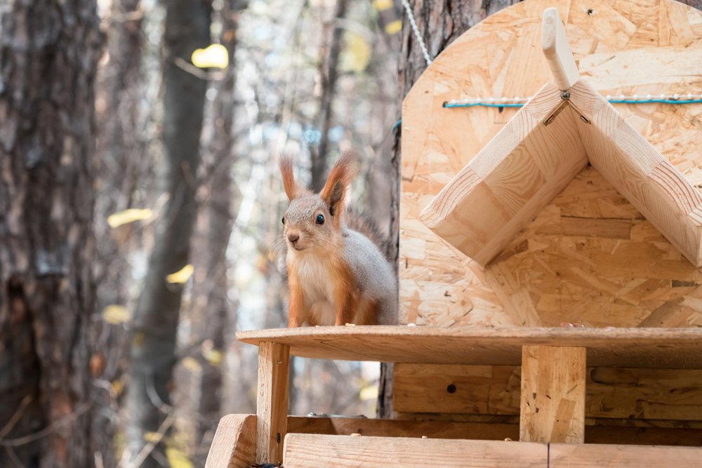 Photograph by Кадырова Анастасия