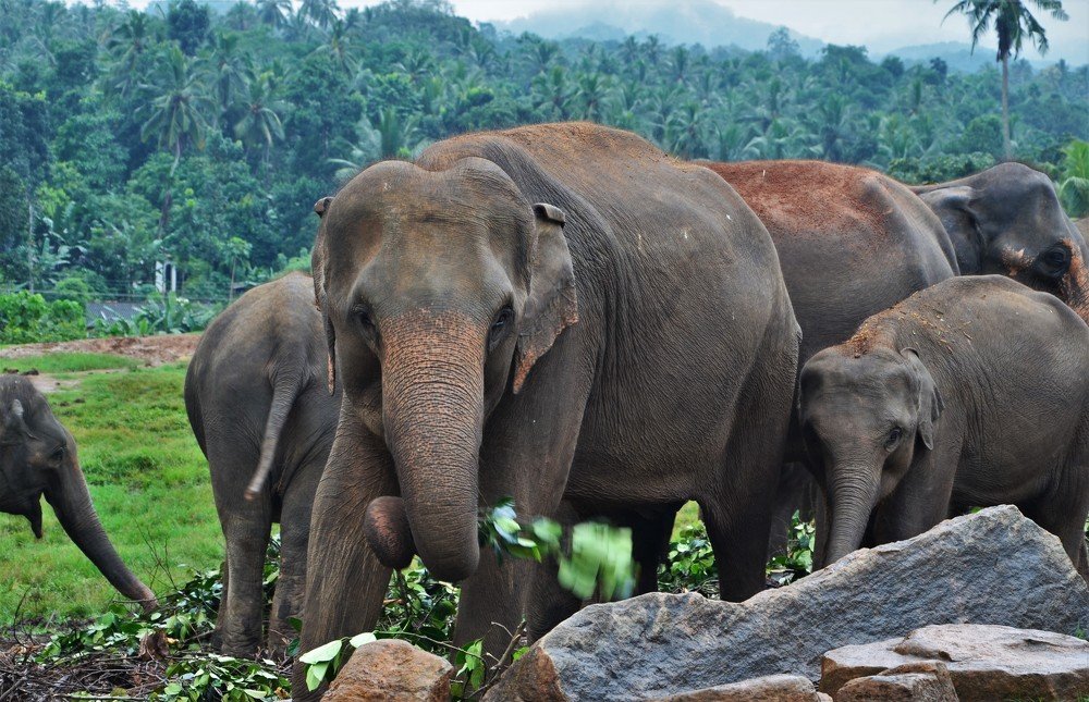 Photograph by Андрей Телибаев