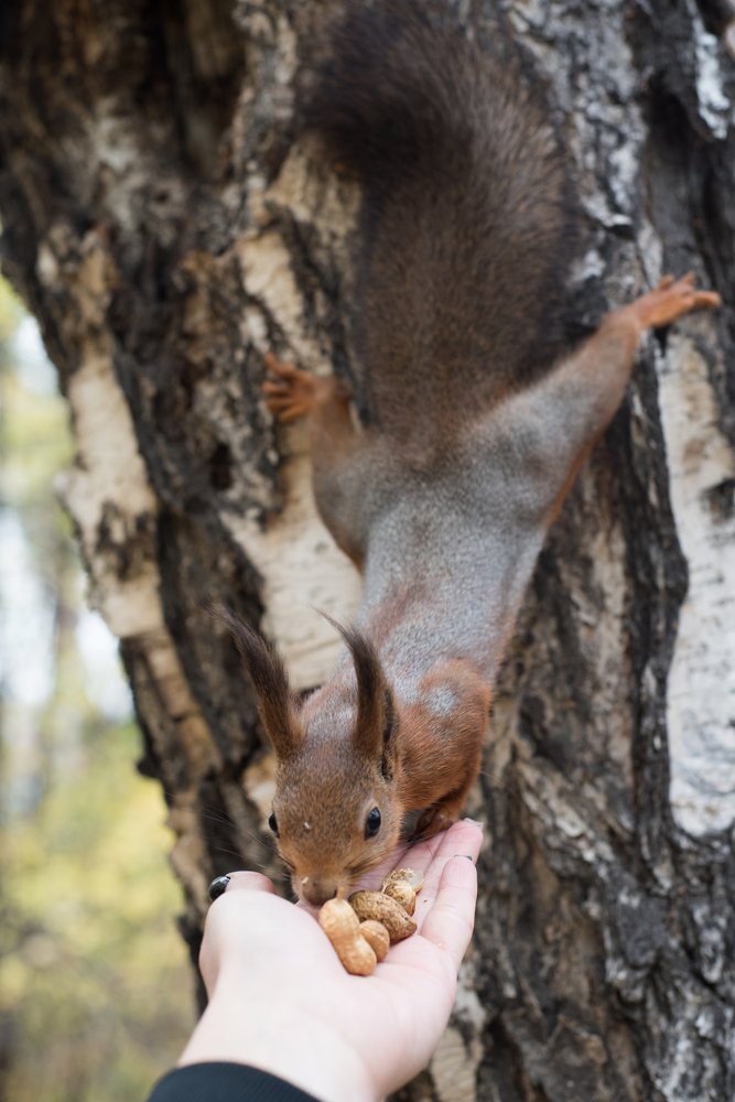Photograph by Кадырова Анастасия