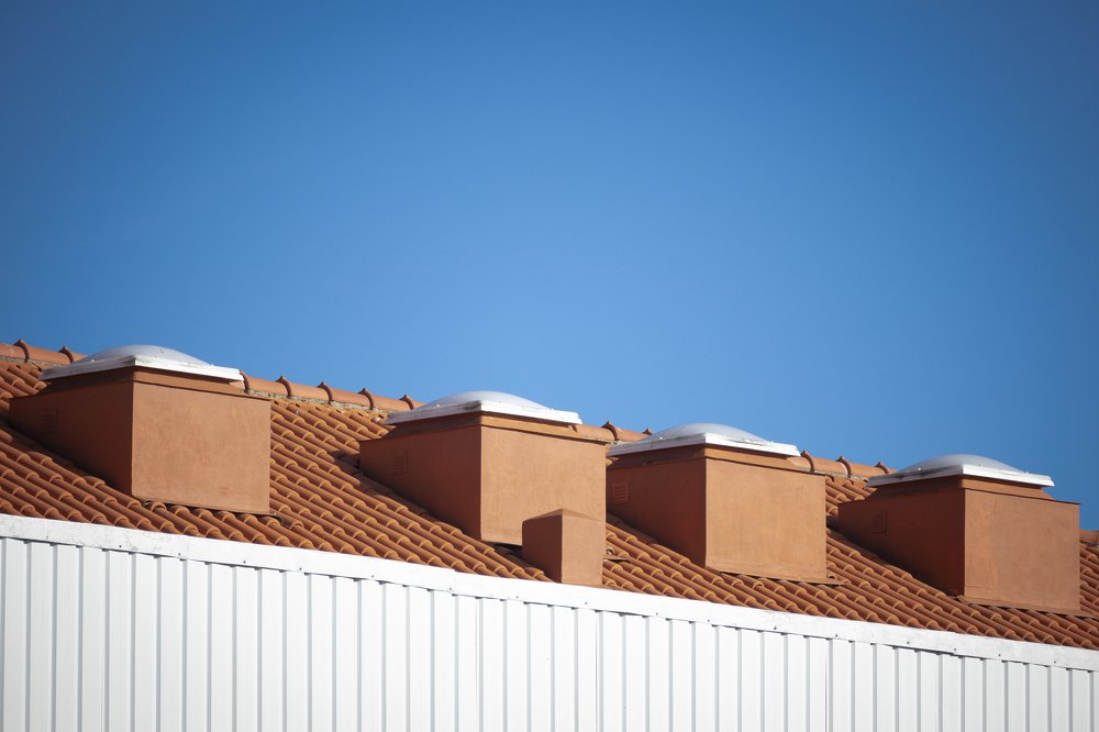 Photograph by Susana Fernandes