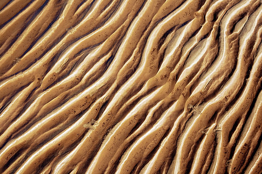 Фотография автора Gerardo Dayan