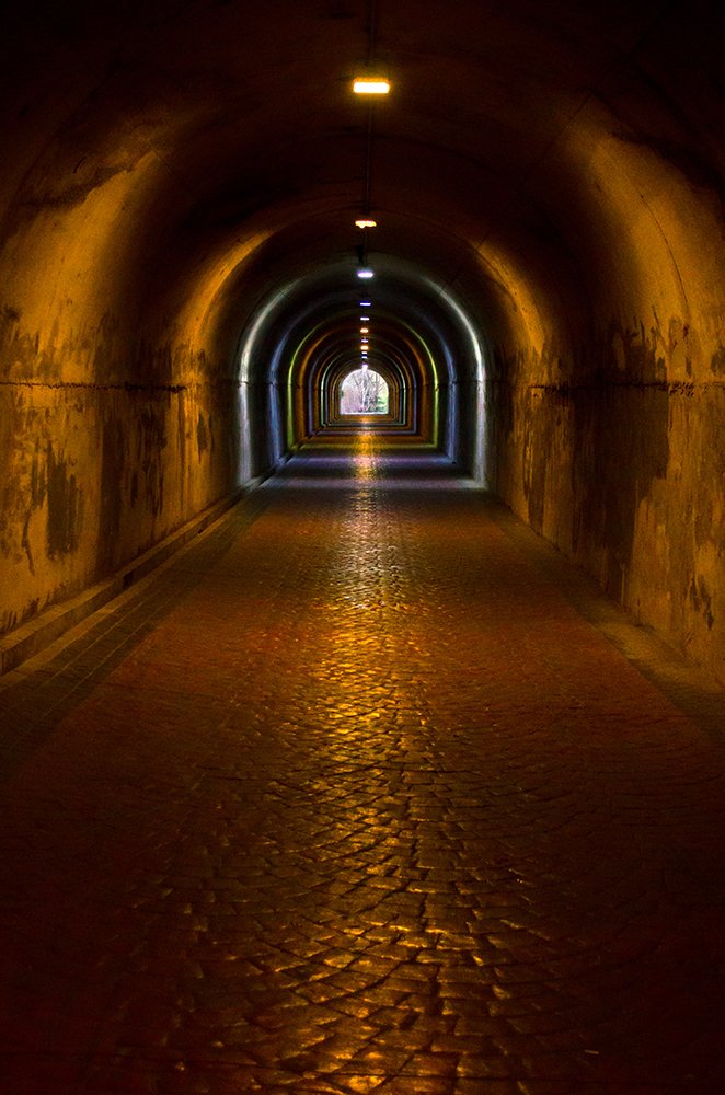 Photograph by Sahar Jafari