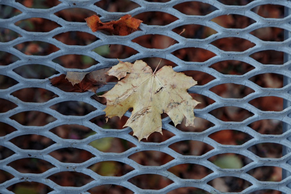 Photograph by Алексей Лунин