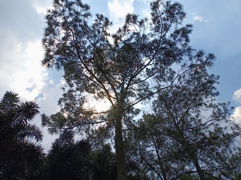 With Love, Mother Nature