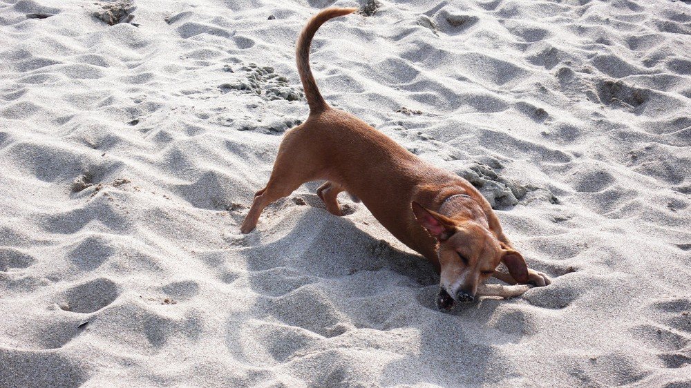 Photograph by Татьяна Крахина