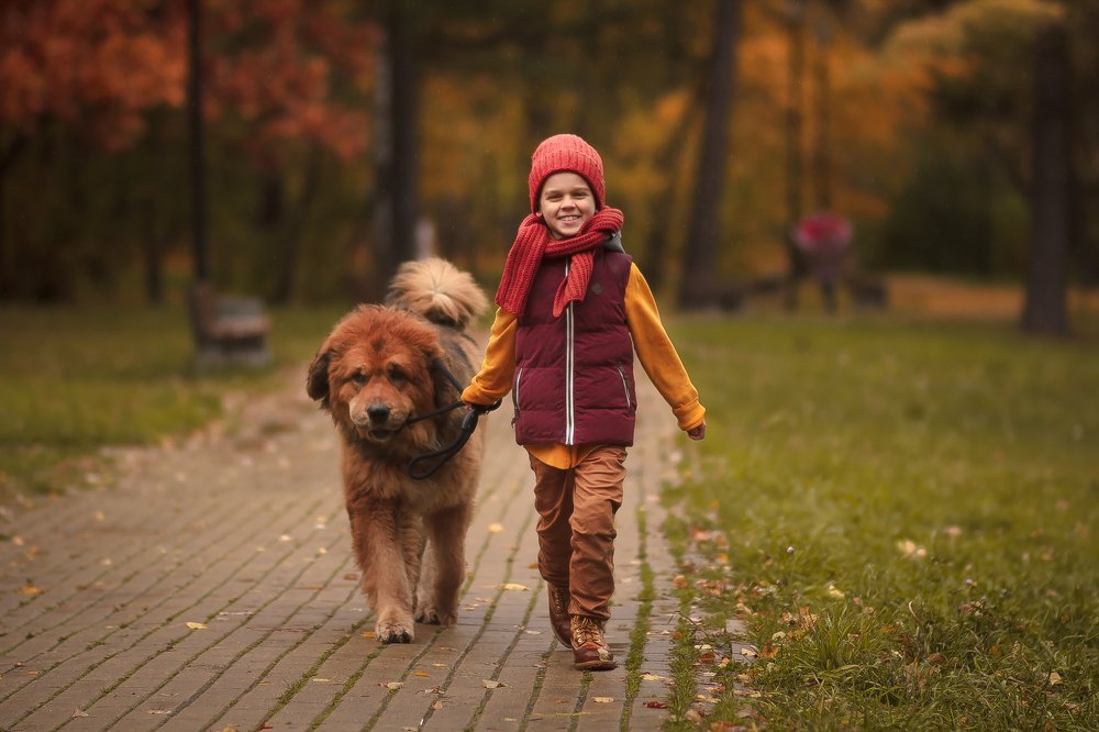 Photograph by Тамара Лисицына