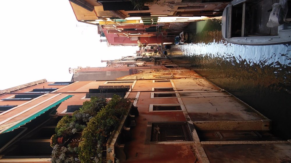 Photograph by Anjelika