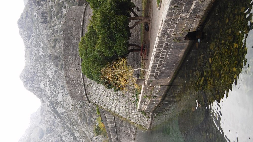 Photograph by Anjelika